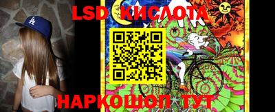 прущие грибы Кунгур