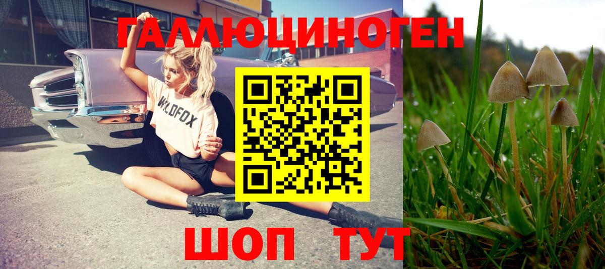 Галлюциногенные грибы Psilocybe  Вход с VPN  Ирбит 